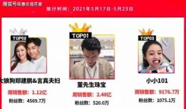 网红爆料视频模板大全,揭秘热门短视频制作技巧